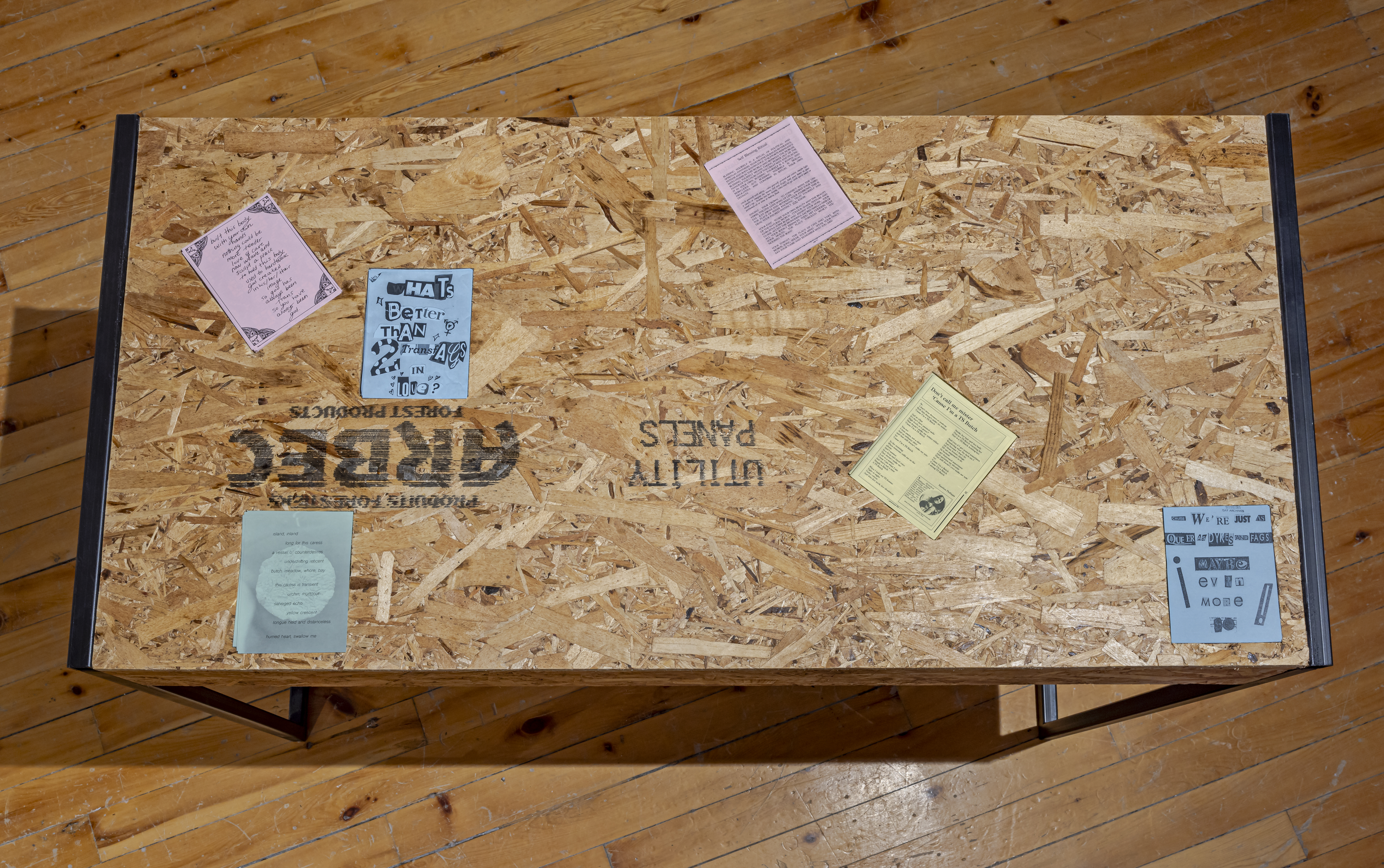 gendertrash from hell zine