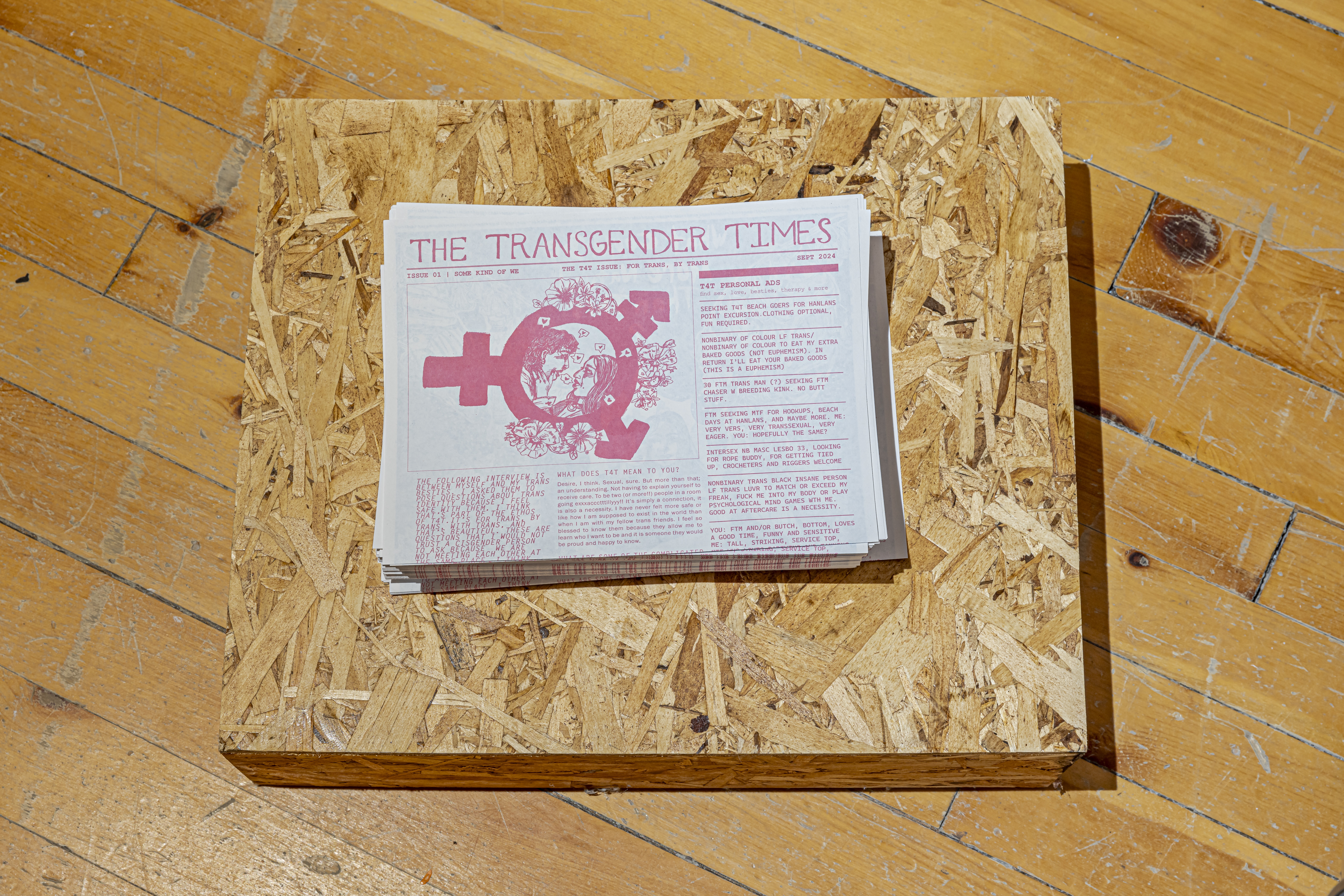 The Transgender Times